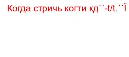 Когда стричь когти кд`-t/t.`